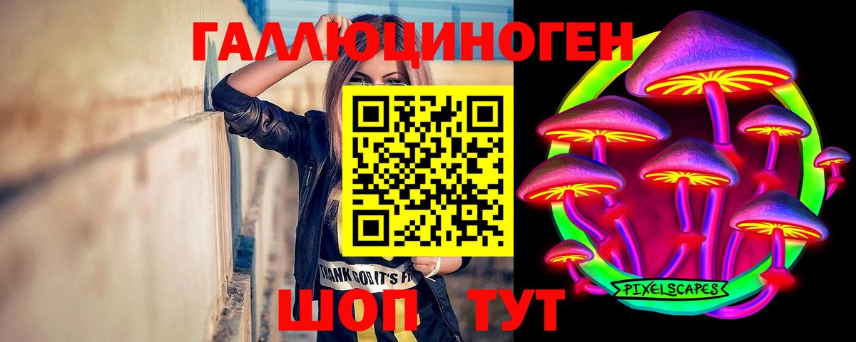 Рубцовск  Псилоцибиновые грибы MAGIC MUSHROOMS  Вход с VPN  Галлюциногенные грибы Psilocybe 