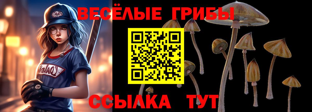 Галлюциногенные грибы мухоморы Рубцовск